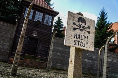 Full day tour to Auschwitz-Birkenau and Salt Mine with a local guide from Krakow - Pickup Timing and What It Means for Your Morning