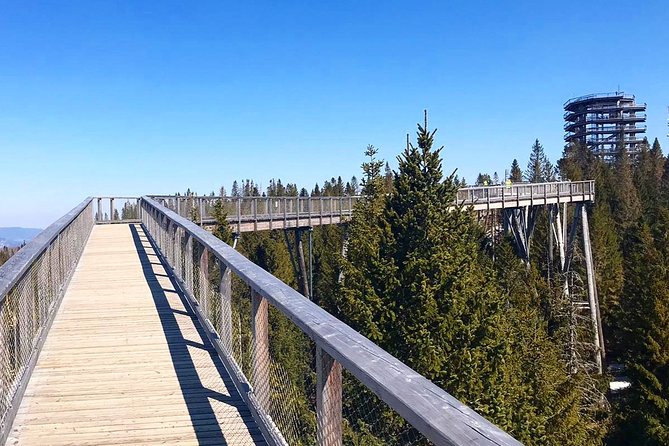 Full-Day Zakopane and Slovakia Treetop Walk From Krakow - Tickets, driver support, and that oscypek moment