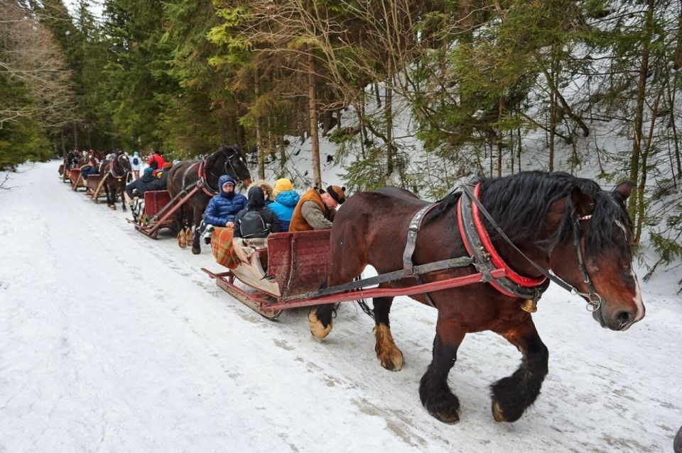 Horse Sleigh 2-3h Ride with Hot Springs or Zakopane Combos - Zakopane First: Chocholow, Krupowki, and Wooden Chapels
