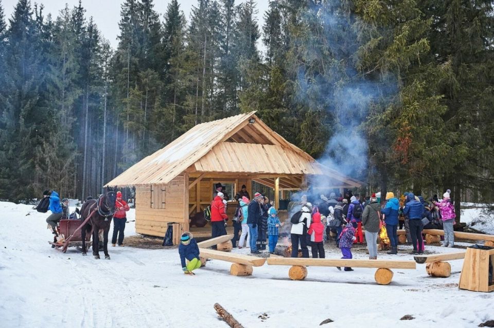 Horse Sleigh 2-3h Ride with Hot Springs or Zakopane Combos - The Horse Sleigh Ride: 2–3 Hours of Snow, Fire, and Fun
