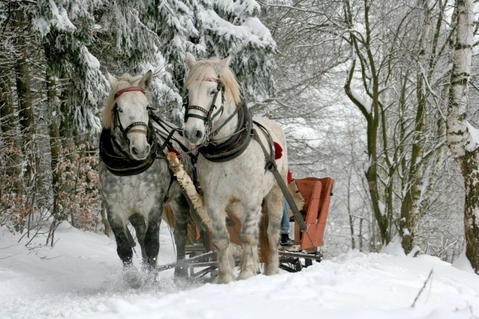 Horse Sleigh 2-3h Ride with Hot Springs or Zakopane Combos - Should You Book This Horse Sleigh and Thermal Day?