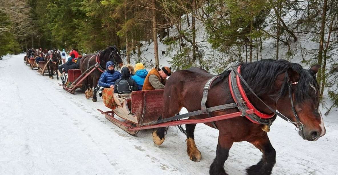 Horse Sleigh 2-3h Ride with Hot Springs or Zakopane Combos - Gubalowka by Funicular: Tatra Mountain Views and a Ski Jump Landmark