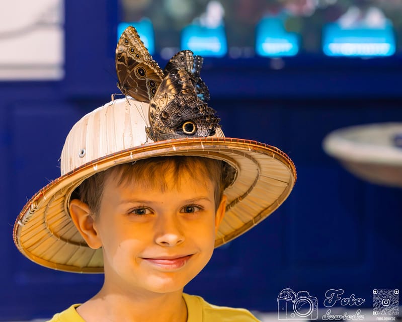 Krakow: 4 Mazes and Living Butterfly Museum Entry Ticket - Laser Maze: Tight, Reflex-Heavy Fun With Real Penalties