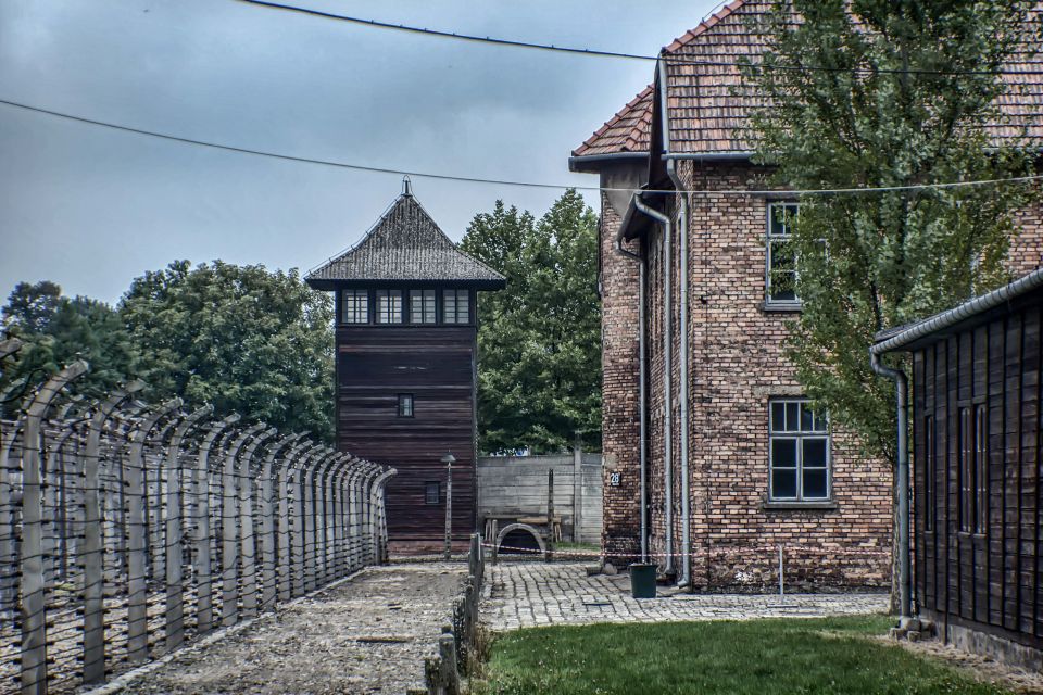 Krakow: Auschwitz and Wieliczka Salt Mine Combo Tour - Price and value at $181: when this combo tour makes sense