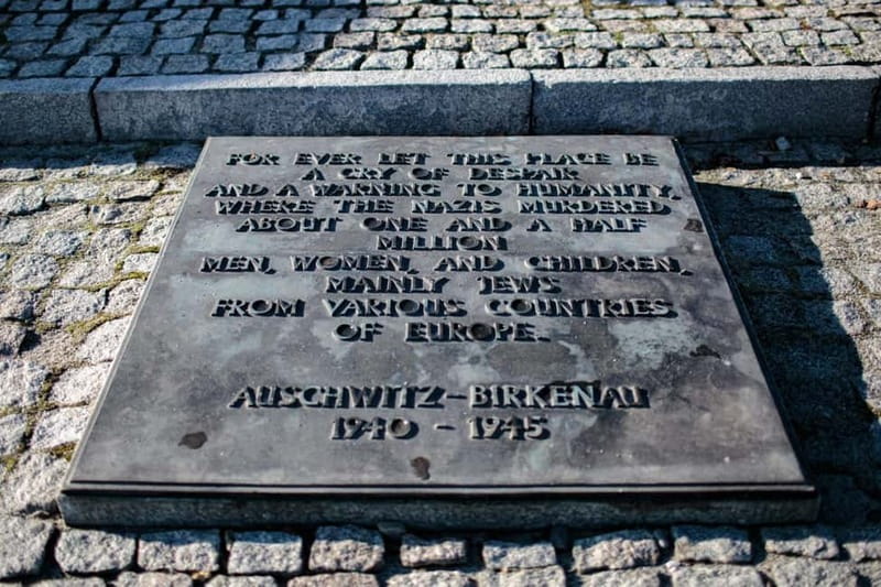 Krakow: Auschwitz-Birkenau Entry Ticket and Transfer - Timing, Comfort Breaks, and the Real Pace of an 8-Hour Day