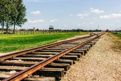 Krakow: Auschwitz-Birkenau Live Guided Tour & Hotel Pickup - Getting picked up around Kraków and riding in comfort