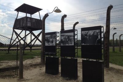 Krakow: Auschwitz-Birkenau & Salt Mine -private/shared transport - Price and value: what $346.44 buys you