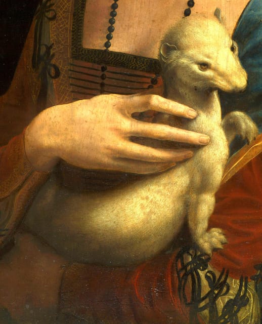 Krakow: Czartoryski Museum Guided Tour in English - What You See Inside: Collection Galleries and the Museum’s Own Pace