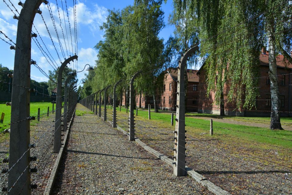Krakow: Guided Auschwitz Birkenau Tour - Language options and what happens if your language is unavailable