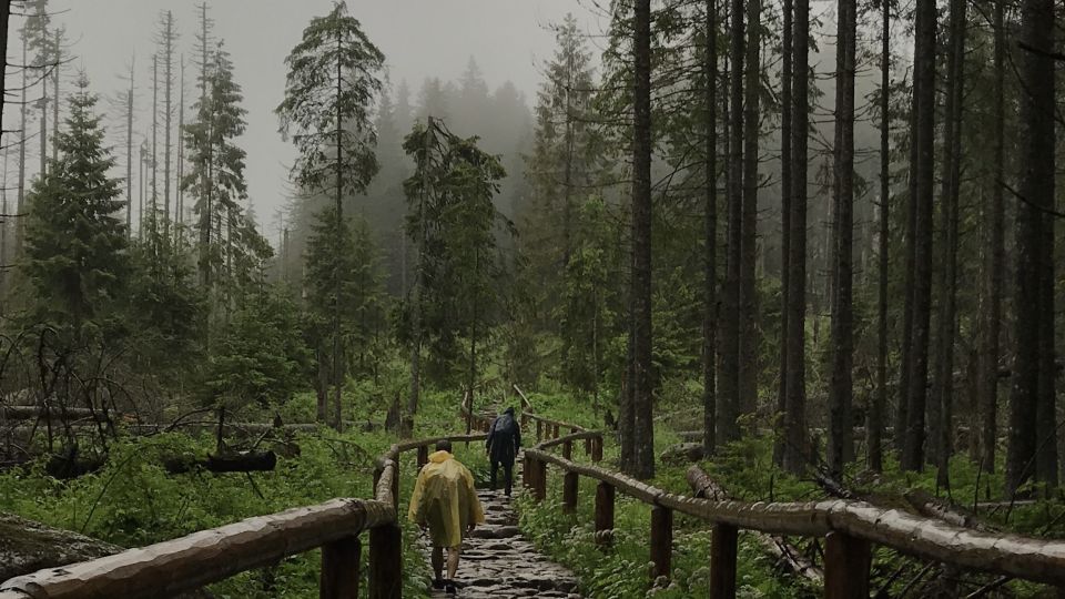 Krakow: Hiking Adventure in Tatra Mountains & Thermal Baths - Why this Kraków-to-Tatra day feels worth your time