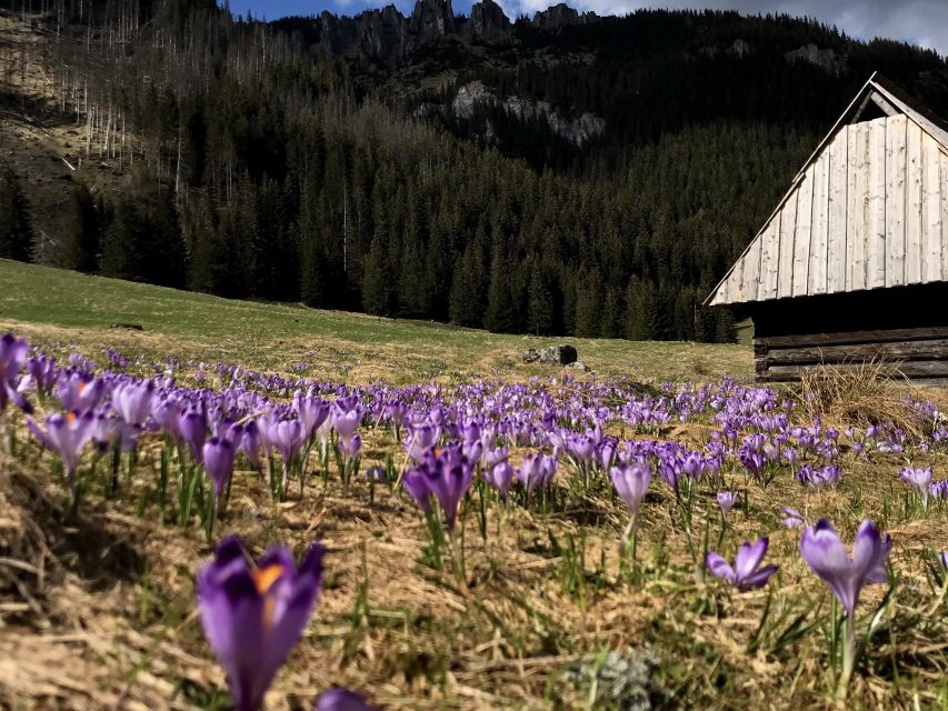 Krakow: Hiking Adventure in Tatra Mountains & Thermal Baths - Price and value: what $164 buys (and why it matters)