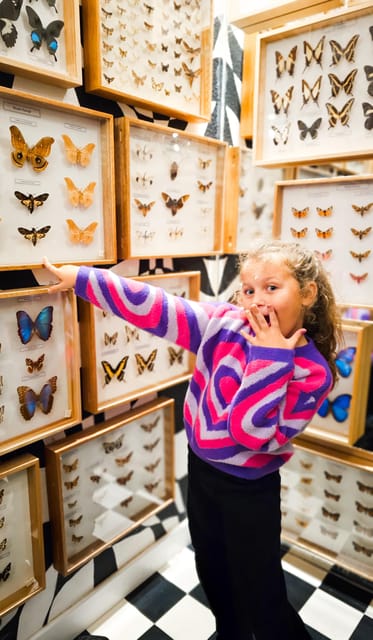 Krakow: Museum of Living Butterflies 2+1 - Key highlights you’ll care about