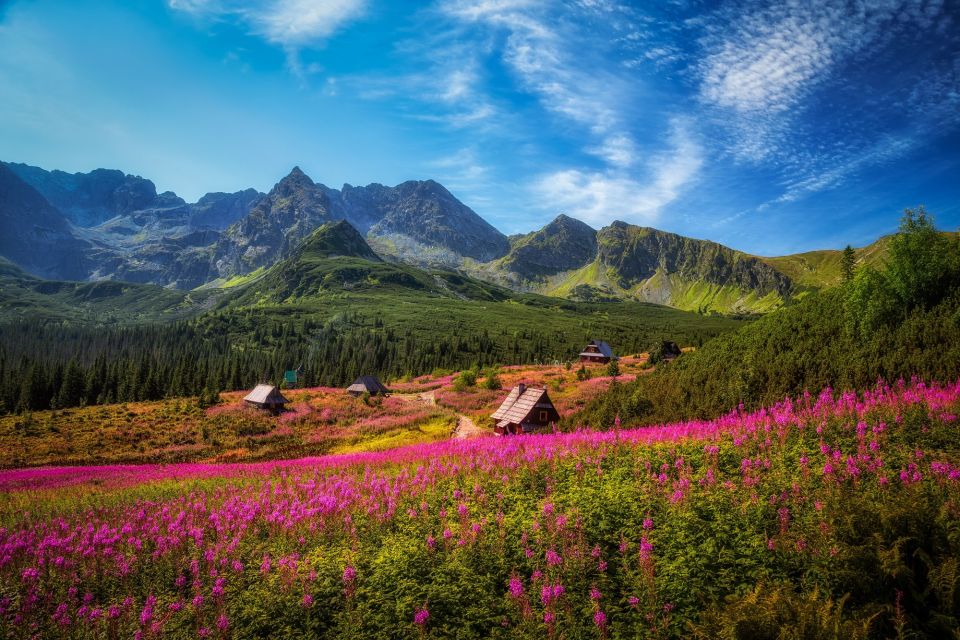 Krakow: Tatra Mountains and Zakopane Full-Day Private Tour - A private Krakow to Zakopane day that actually feels manageable