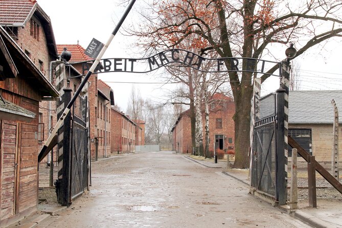 Krakow to Auschwitz-Birkenau: Private Round-Trip Experience - What your English-speaking driver does (and what they don’t)