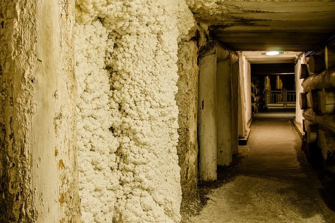 Krakow: Wieliczka Salt Mine Guided Tour with Hotel Pick-up option - Price and Logistics: What $24.19 Really Buys You