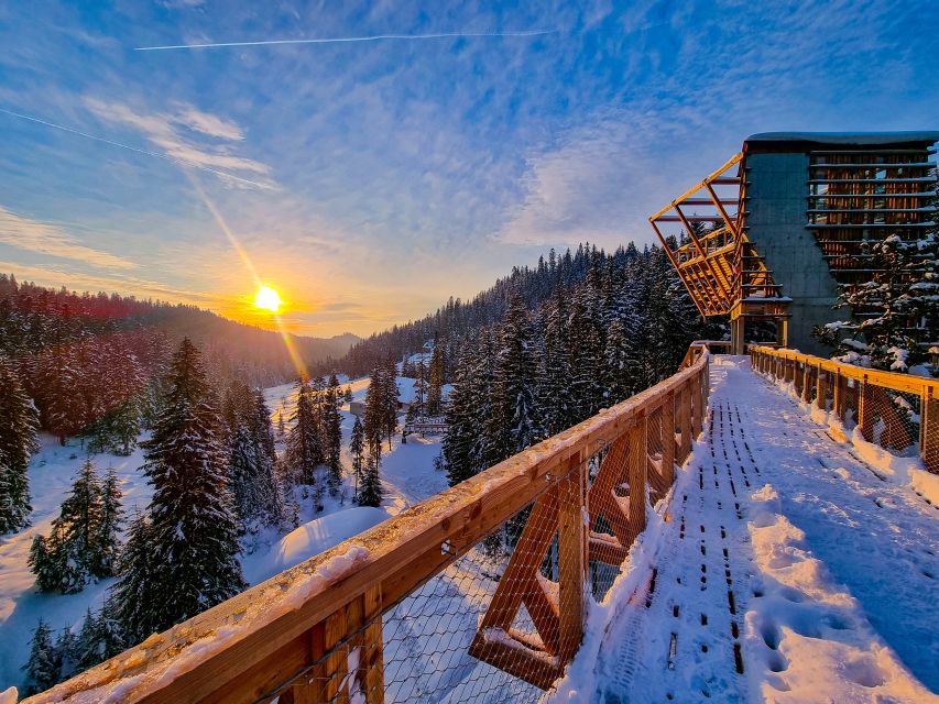 Krakow: Zakopane, Thermal Baths and Gorce Park Treetop Walk - Key highlights worth your attention