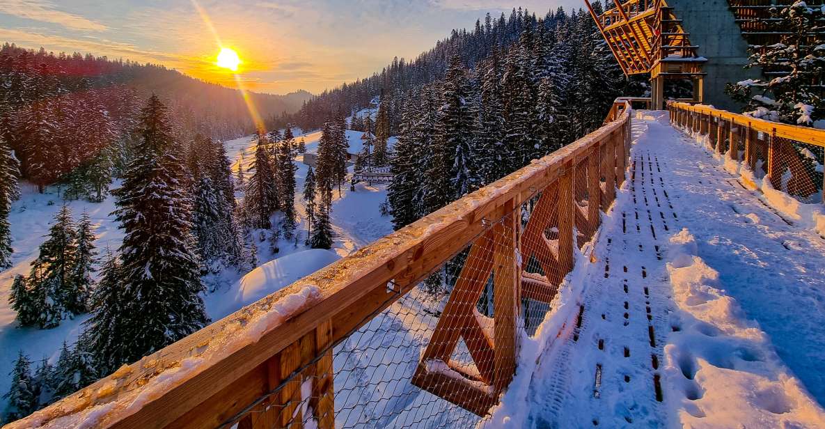 Krakow: Zakopane, Thermal Baths and Gorce Park Treetop Walk - Walking the treetops: what the route feels like