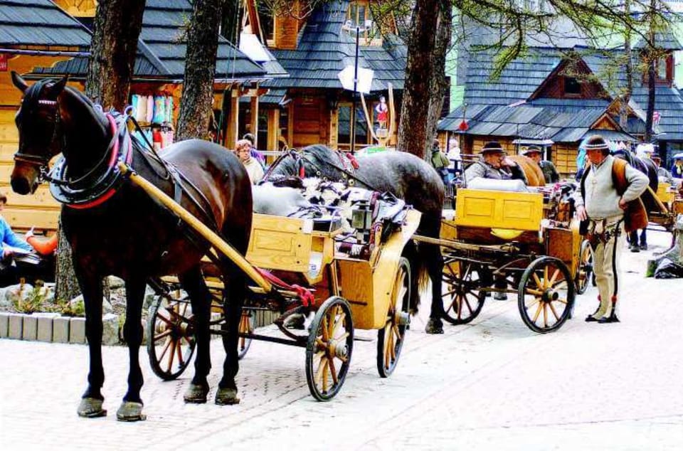 KRAKOW ZAKOPANE TOUR CABLE CAR THERMAL BATHS & HOTEL PICKUP - Logistics and Group Size: What the ride feels like in practice