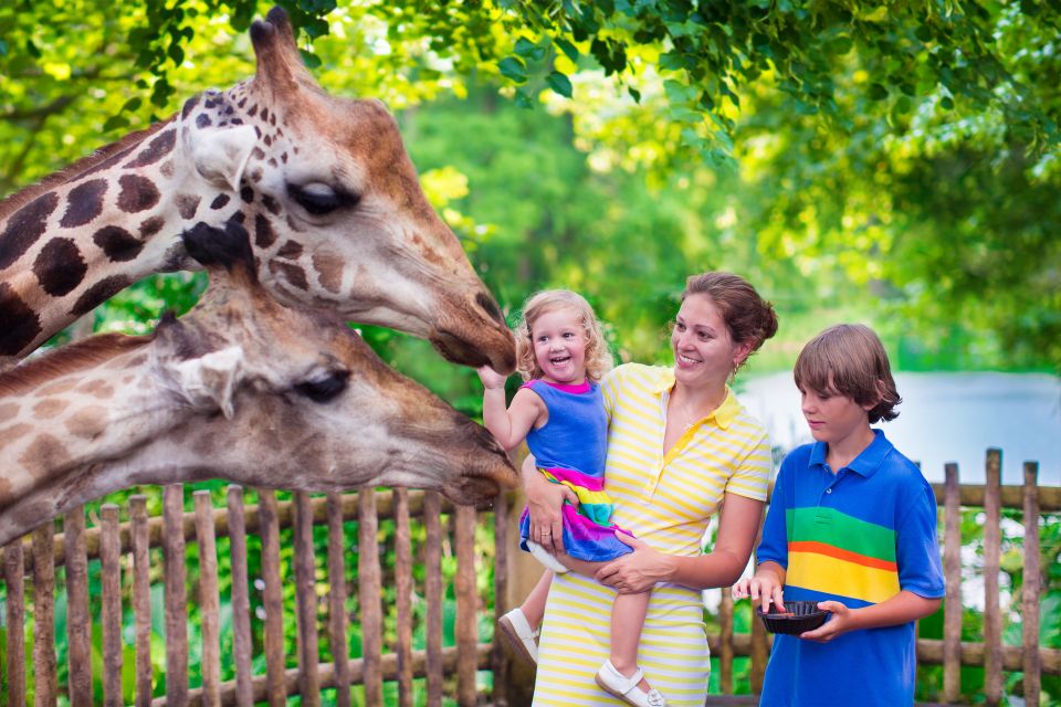 Krakow: Zoo Tour with Private Transport and Tickets - Private transport from Krakow: why it matters more than you think
