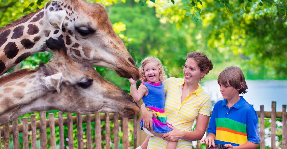 Krakow: Zoo Tour with Private Transport and Tickets - Animals to look for: the standout lineup