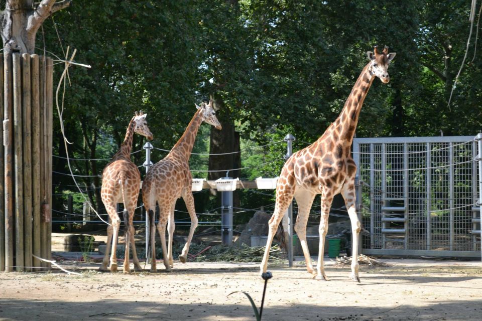 Krakow: Zoo Tour with Private Transport and Tickets - Price and value: is $94 per person fair?
