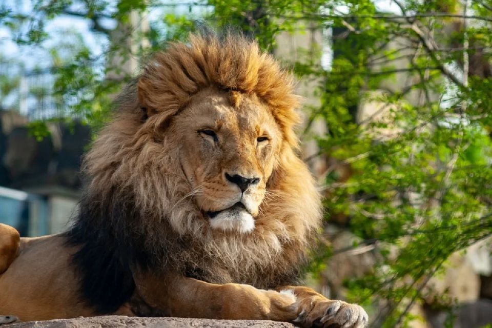 Krakow: Zoo Tour with Private Transport and Tickets - Who this Krakow zoo tour suits best
