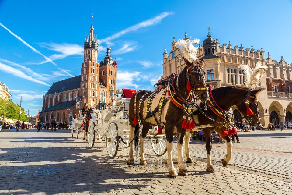 Krakow: Zoo Tour with Private Transport and Tickets - Should you book this Krakow Zoo Tour?