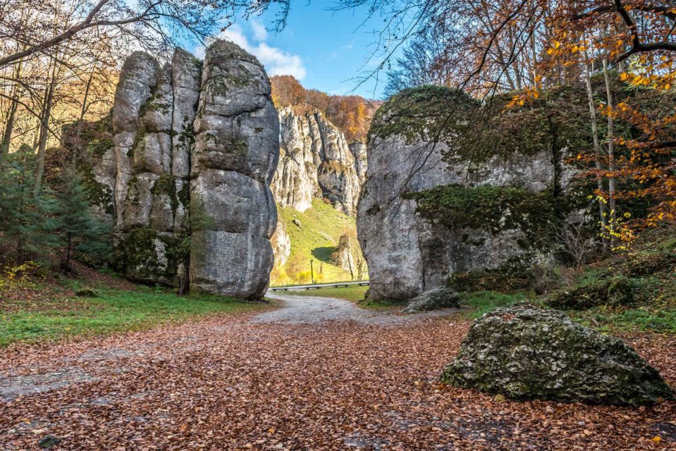 Ojcow National Park: Full-Day Trip from Krakow - Hiking Toward Krakow Gate: Dense Woods, Rocky Footing, and Ruins