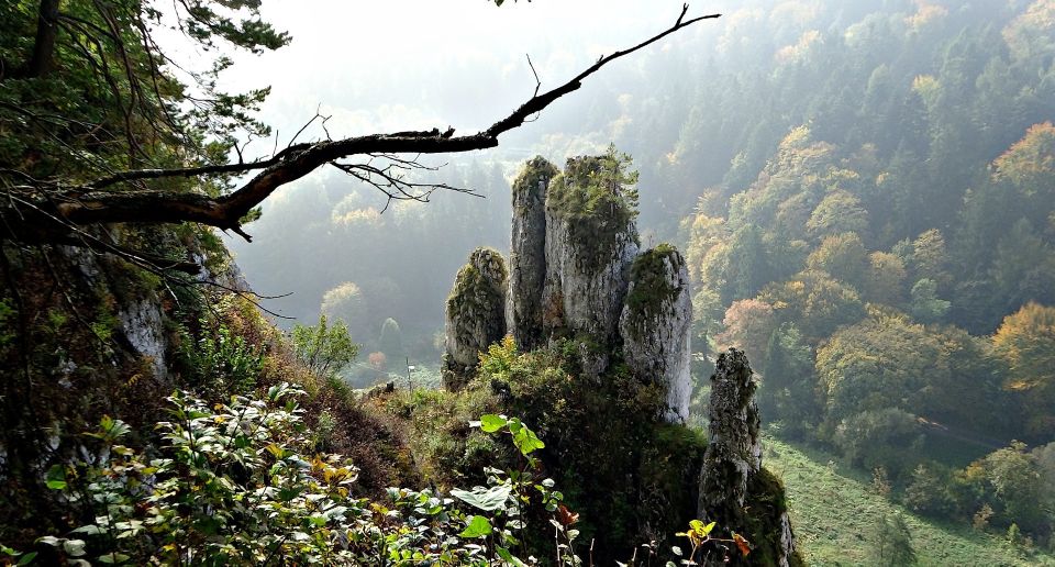 Ojcow National Park: Full-Day Trip from Krakow - Pieskowa Skala Limestone Cliff: The Renaissance Castle on a Rock Face