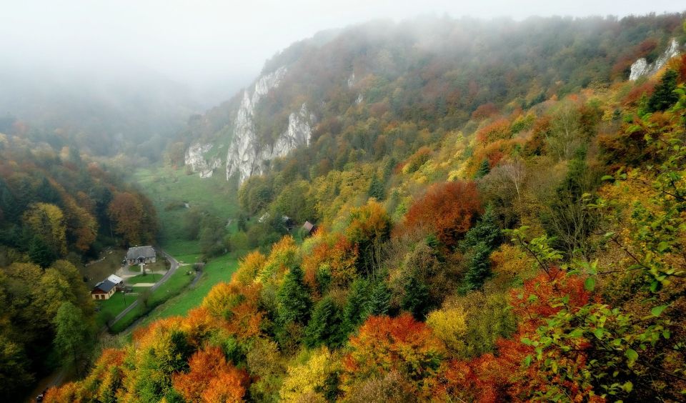 Ojcow National Park: Full-Day Trip from Krakow - Should You Book This Ojcow National Park Full-Day Trip from Krakow?