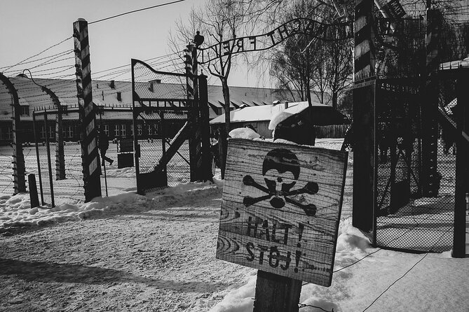 Private Guided Tour Auschwitz Birkenau with Transport from Krakow - Birkenau: Why This Second Area Changes the Whole Visit