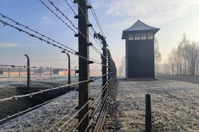 Private Guided Tour to Auschwitz & Birkenau from Krakow - Judenrampe Stop: Where Arrivals Were Sorted