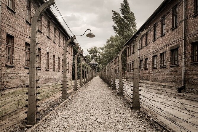 Private Guided Tour to Auschwitz & Birkenau from Krakow - Auschwitz II-Birkenau: The Scale of the Death Camp