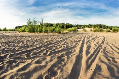 Private Guided Tour to Trail of the Eagles Nests from Krakow - Pickup and pacing on a 5-hour private route