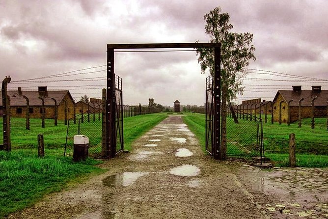Private Tour to Auschwitz & Birkenau from Katowice - Auschwitz II (Birkenau) and Brzezinka: gas chamber context and scale