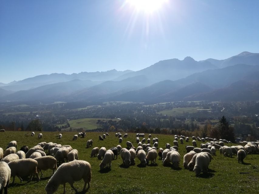 Rafting on Dunajec & Zakopane Tour – Day Trip from Krakow - Dunajec rafting in Pieniny: calm water, big views