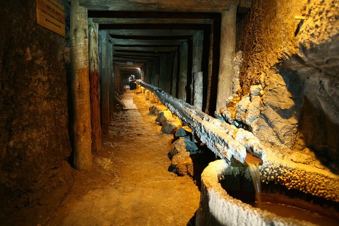 Salt Mine Wieliczka with Private Car from Krakow - 700 steps, elevator up: how hard is the walking?
