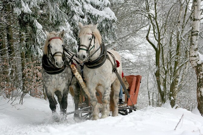 Sleigh Ride & Bonfire in Zakopane with Funicular - Private Trip - A Private Zakopane Day Built Around Snow, Cheese, and Views