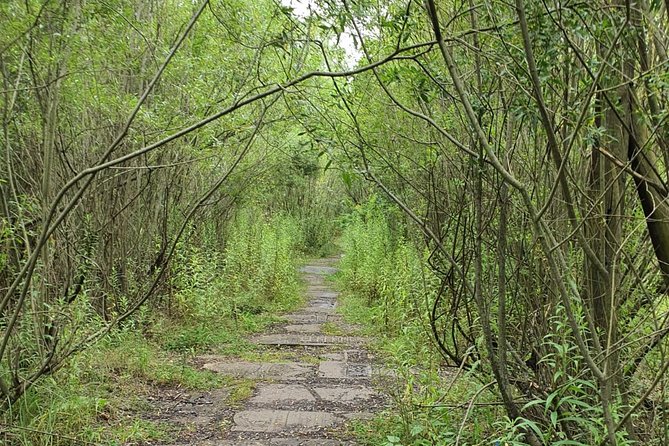 TOUR AL CAMPO DE CONCENTRACIÓN DE PLASZOW. El campo de la Lista de Schindlert. - Lugares de ejecuciones masivas y trabajos forzados: Hujowa Gorka y la cantera