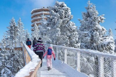 Treetop Walk in Slovakia and Thermal Baths from Krakow - Price and What $204.27 Includes (and Doesn’t)