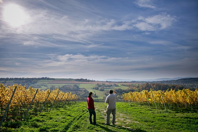 Wieliczka Vineyard: Wine tasting with local snacks - Quick highlights at Winnica Wieliczka