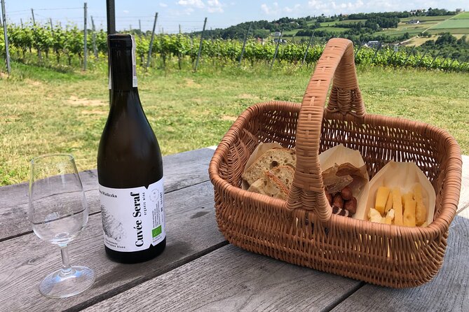 Wieliczka Vineyard: Wine tasting with local snacks - English tour + small-group chat + practical tips for Krakow
