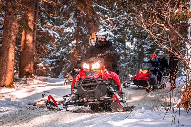Zakopane: 3 hours Snowmobiles Guided Tour with bonfire and meal - Your ride: snowmobile basics, seating, and what you’re actually signing up for