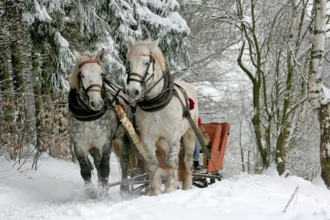 Zakopane Horse-Drawn Rides with Local Guide and Food Tasting - Pickup and Timing: No Transport Headaches