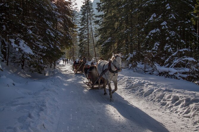 Zakopane Horse-Drawn Rides with Local Guide and Food Tasting - Torchlight Moment: Why It Feels Special