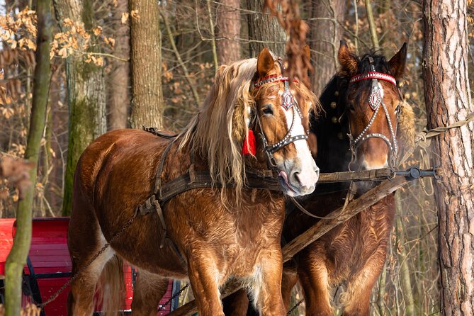 Zakopane Horse-Drawn Rides with Local Guide and Food Tasting - Bonfire and Regional Food Tasting: The Part You’ll Remember
