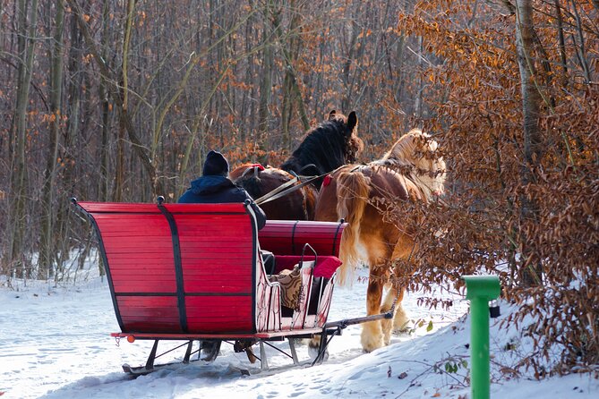 Zakopane Horse-Drawn Rides with Local Guide and Food Tasting - English-Speaking Guide and Driver: Ease Without Delay