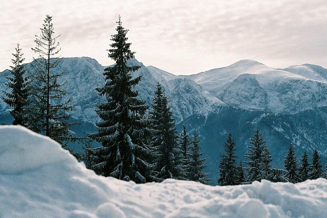 Zakopane private tour from Krakow with Thermal Baths - Stop 3: Krupówki main street time (lunch, souvenirs, people-watching)