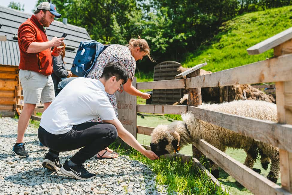 Zakopane & Tatra Mountains from Krakow – Guided Tour - Chochołów: Oscypek, Regional Food, and Village Color