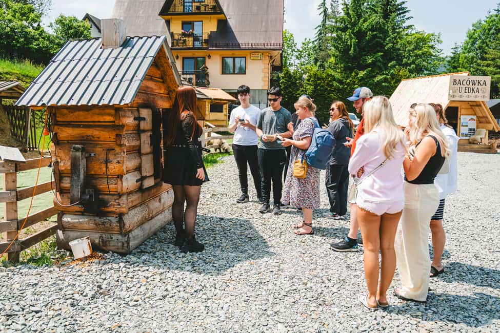 Zakopane & Tatra Mountains from Krakow – Guided Tour - Cable Car and the Scenic Transition Into Zakopane